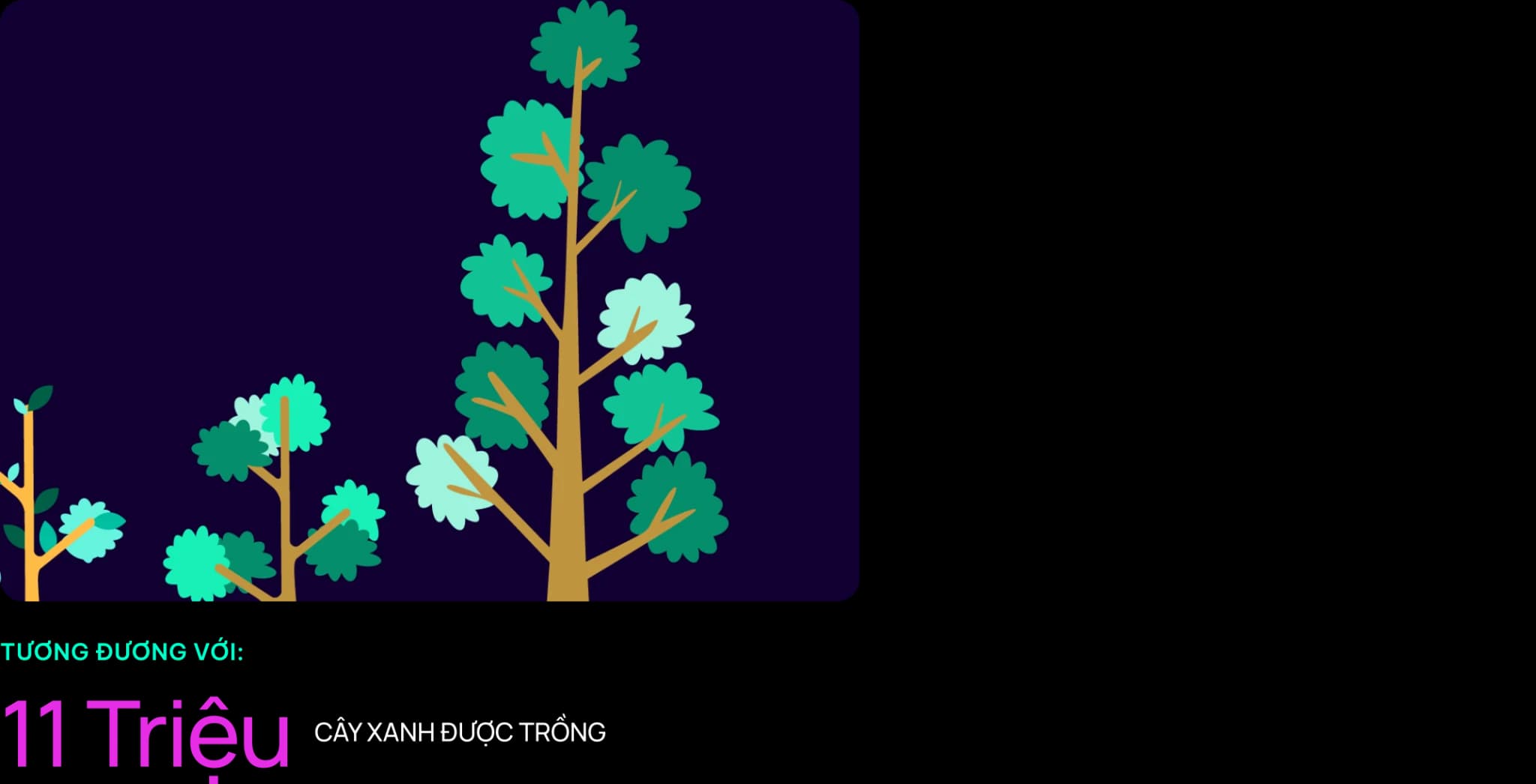 TƯƠNG ĐƯƠNG VỚI: 11 Triệu CÂY XANH ĐƯỢC TRỒNG